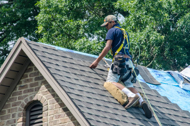 Best Shingle Roofing Installation  in Secy, AR